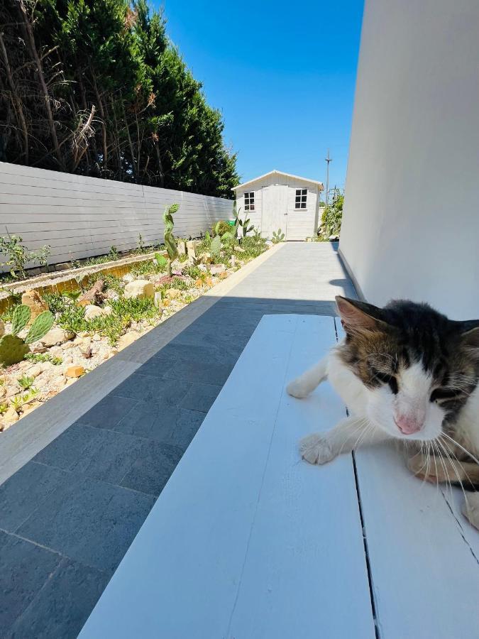 レッチェ La Casa Di Nina Bed & Breakfast エクステリア 写真