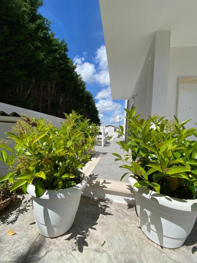 レッチェ La Casa Di Nina Bed & Breakfast エクステリア 写真
